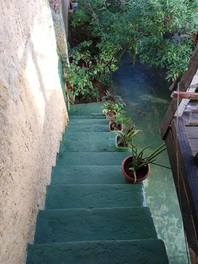 סלבאדור Hostel Bela Vista מראה חיצוני תמונה